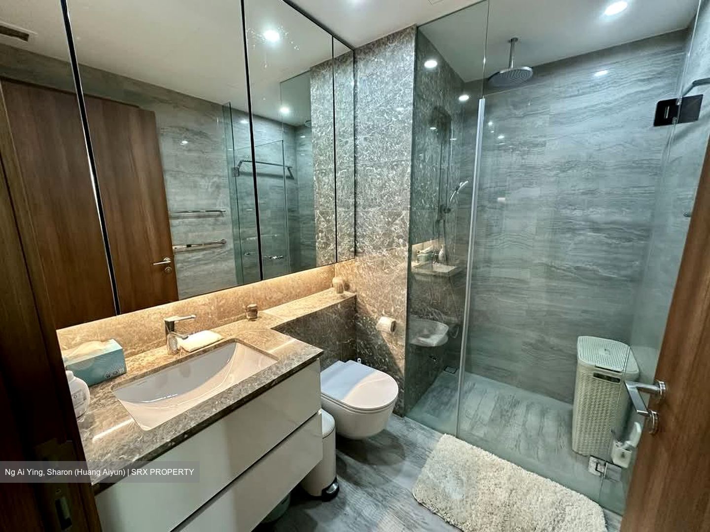 Fourth Avenue Residences (D10), Apartment #529195821